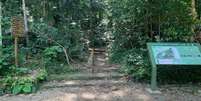 Local de acesso à trilha do Tijuca Mirim  Foto: Divulgação/Parque Nacional da Tijuca