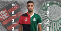 Compare números de Andreas Pereira pelo Flamengo e Palmeiras  Foto: Arte/Terra