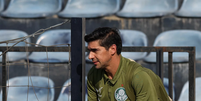 Abel Ferreira, técnico do Palmeiras  Foto: Cesar Greco/Palmeiras/by Canon