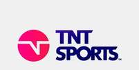 Foto: Divulgação - Legenda: TNT Sports firma acordo definitivo com Ennio Ricanelo / Jogada10