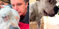 Marcio Garcia e seu cachorro, que morreu  Foto: Reprodução | Instagram