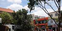 Uma árvore de grande porte caiu na Praça da Árvore, na zona sul da cidade de São Paulo (SP), nesta manhã de quarta-feira, 10 de dezembro de 2025.   Foto: FÁBIO VIEIRA/FOTORUA/ESTADÃO CONTEÚDO