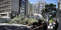 Ventos de 98km/h trouxeram transtornos para a cidade de SP, como queda de árvores e falta de energia. Foto: Felipe Rau/Estadão / Estadão