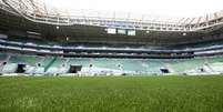 Gramado artificial instalado no Allianz Parque, casa do Palmeiras  Foto: Divulgação/Palmeiras