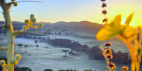 Geada e temperaturas baixas marcam amanhecer em SC  Foto: Mycchel Legnaghi/Divulga&ccedil;&atilde;o