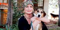 Brigitte Bardot foi grande defensora da causa animal  Foto: Charly Hel/Prestige/Getty Images