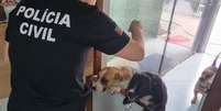  Foto: Polícia Civil / Divulgação / Porto Alegre 24 horas