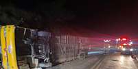 Ônibus tomba em MG, deixa cinco mortos e 43 feridos  Foto: Corpo de Bombeiros - MG