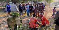 Turista &eacute; morto por elefante durante trilha em parque nacional da Tail&acirc;ndia  Foto: Divulga&ccedil;&atilde;o