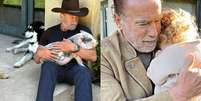 Arnold Schwarzenegger revela que d&aacute; a mesma comida para seus animais e netas  Foto: Reprodu&ccedil;&atilde;o/ Instagram/ @schwarzenegger/ Pinterest / Famosos e Celebridades