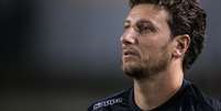 Elano no Santos (Photo by Ricardo Nogueira/Getty Images) Foto: Esporte News Mundo