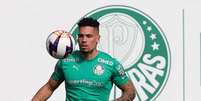 Palmeiras contou com a presença de atletas da base na atividade - Foto: Cesar Greco/Palmeiras / Jogada10