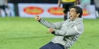 Abel Ferreira chegou a 11 taças com o Palmeiras  Foto: FERNANDO VIEIRA SA/AGÊNCIA F8 / Estadão