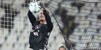 Botafogo passa apuros com Linck no gol &ndash;  Foto: Vitor Silva/Botafogo / Jogada10