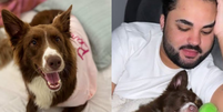'Agiu como se fosse descart&aacute;vel': Lucas Guedez &eacute; acusado de abandonar cachorrinha em creche; influenciador circula com uma nova cadela. Foto: Reprodu&ccedil;&atilde;o, Instagram / Purepeople