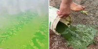 Algas se proliferam no Rio Tiet&ecirc; e fen&ocirc;meno &eacute; registrado em pelo menos 3 cidades do interior de SP  Foto: Reprodu&ccedil;&atilde;o/TV TEM