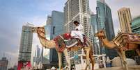Dois camelos em uma praia vazia em Dubai (EAU), com arranha-c&eacute;us ao fundo  Foto: FADEL SENNA / AFP via Getty Images / BBC News Brasil