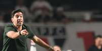 Abel Ferreira foi expulso durante cl&aacute;ssico contra o S&atilde;o Paulo  Foto: Werther Santana/Estad&atilde;o / Estad&atilde;o