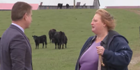 Delsia Bare se recusou a vender fazenda a empresa de IA por mais de R$ 130 milh&otilde;es  Foto: Reprodu&ccedil;&atilde;o/Local 12 News