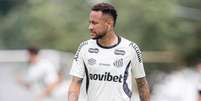 Neymar ter&aacute; direito a receber bolada do Santos - Foto: Raul Baretta/ Santos FC. / Jogada10