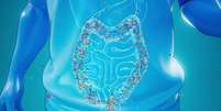 Estudo mostra que sinais no intestino podem prever diagnóstico de câncer Foto: Imagem ilustrativa/Freepik