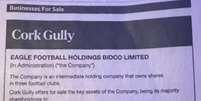SAF do Botafogo foi colocada &agrave; venda em an&uacute;ncio de jornal ingl&ecirc;s  Foto: Reprodu&ccedil;&atilde;o