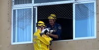 Cachorrinho &eacute; resgatado ap&oacute;s pr&eacute;dio ser evacuado em Itaja&iacute;  Foto: Corpo de Bombeiros de Santa Catarina/Cedido ao Terra