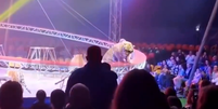 Tigre avança em plateia em circo na Rússia  Foto: Reprodução/X