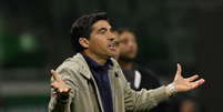 (  Foto: Cesar Greco/Palmeiras/by Canon / Esporte News Mundo