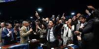 Senadores celebrando com os bra&ccedil;os levantados no plen&aacute;rio  Foto: Carlos Moura/Ag&ecirc;ncia Senado / BBC News Brasil