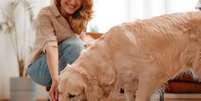 A frequ&ecirc;ncia das refei&ccedil;&otilde;es dos pets varia conforme idade, rotina e comportamento, mas dividir a alimenta&ccedil;&atilde;o ao longo do dia &eacute; essencial para a sa&uacute;de  Foto: Shutterstock / Alto Astral