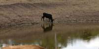 Algumas das mais severas secas do Nordeste come&ccedil;aram com o fen&ocirc;meno clim&aacute;tico do El Ni&ntilde;oa no Nordeste Foto: F&aacute;bio Pozzebom/ Ag&ecirc;ncia Brasil. / Portal de Prefeitura