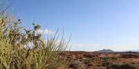 Deserto Foto: Shutterstock / Xataka