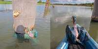 Pescador resgata filhote de arara-canind&eacute; ilhado em tronco  Foto: Reprodu&ccedil;&atilde;o/Instagram