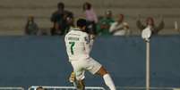 Felipe Anderson &eacute; um dos grande craques do Verd&atilde;o - Foto: Cesar Greco/Palmeiras / Jogada10