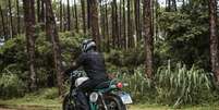 Royal Enfield Bear 650 Foto: Divulga&ccedil;&atilde;o | Royal Enfield / Estad&atilde;o