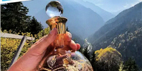 entauri Honey já foi vendido por cerca de 10 mil euros  Foto: Reprodução/Instagram