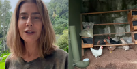 Mait&ecirc; Proen&ccedil;a mostra vida no campo Foto: Reprodu&ccedil;&atilde;o/Instagram