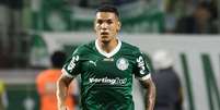 Cesar Greco / Palmeiras Foto: Esporte News Mundo