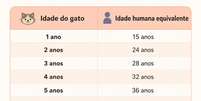 Tabela estimada de idade dos gatos. Foto: Sa&uacute;deLAB