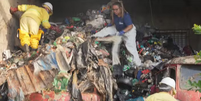 Foram retiradas 50 toneladas de lixo em 29 carregamentos de caminh&otilde;es da casa de dona Anita  Foto: Reprodu&ccedil;&atilde;o/TV Globo