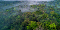 Mercado de cr&eacute;dito de carbono pode ser ben&eacute;fico financeiramente para o Brasil Foto: Getty Images/Ignacio Palacios