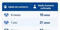 Tabela estimada de idade dos c&atilde;es. Foto: Sa&uacute;deLAB