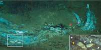Uma regi&atilde;o do Oceano &Iacute;ndico se tornou um cemit&eacute;rio de baleias h&aacute; mais de 5 milh&otilde;es de anos Foto: Reprodu&ccedil;&atilde;o/Nature