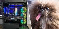 Cachorro dispara arma acidentalmente e PC gamer salva dono de poss&iacute;vel trag&eacute;dia Foto: Reprodu&ccedil;&atilde;o/PCGamer/Future Publishing/GettyImages/JoshEdelson