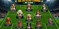 Sele&ccedil;&atilde;o canina Foto: Sa&uacute;deLAB