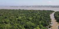 Água disponível na superfície da Amazônia voltou à normalidade em 2025  Foto: DW / Deutsche Welle