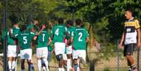 Palmeiras segue invicto no Brasileiro Sub-20 - Foto: Cleiton Ramos/Criciúma / Jogada10