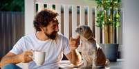 Conquistar a confiança do cachorro é um dos passos mais importantes para garantir o bem-estar do animal Foto: Drazen Zigic | Shutterstock / Portal EdiCase