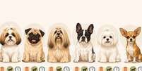 Cachorros para apartamento que ficam bem sozinhos Foto: SaúdeLAB